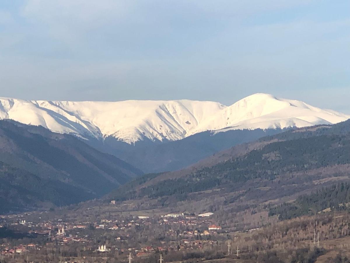 Pensiunea Cretisoara Cîmpulung Esterno foto
