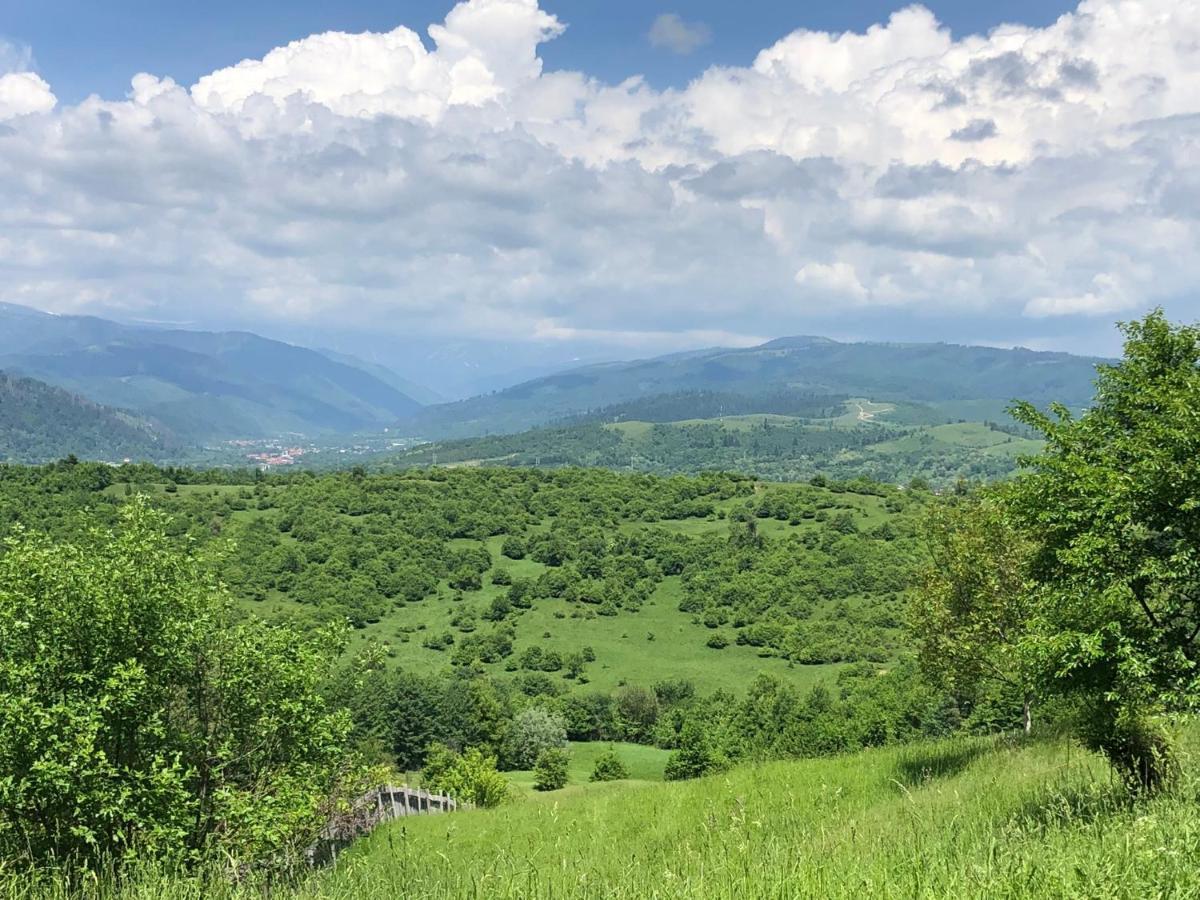 Pensiunea Cretisoara Cîmpulung Esterno foto